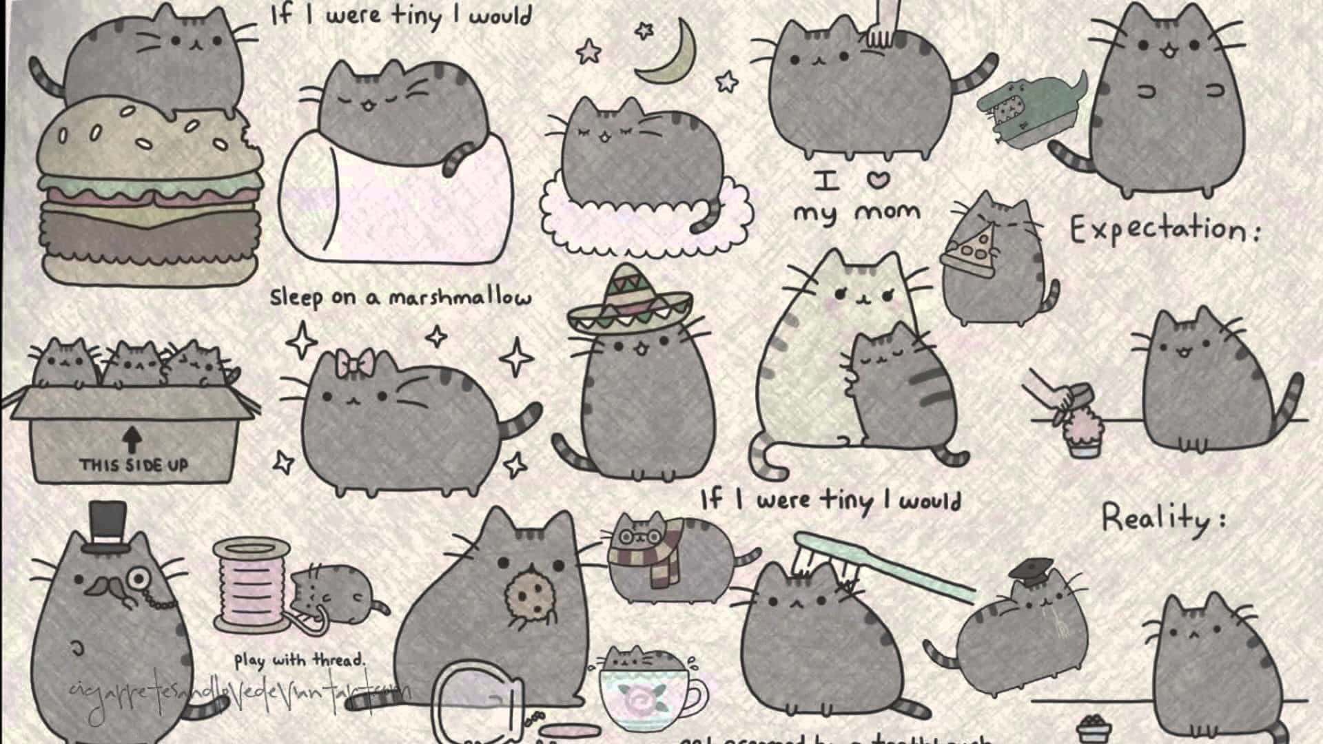 Say Hi To My Little Friend Pusheen! Background