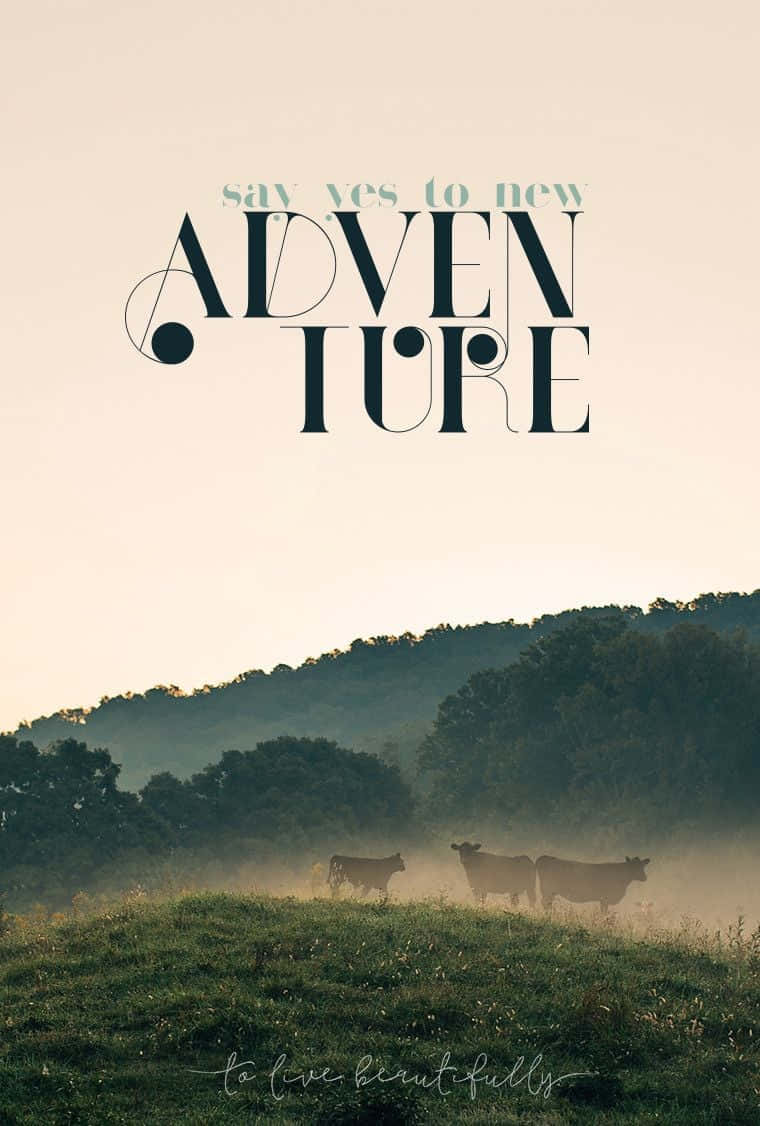 Say Yes To New Adventure Travel Phone Background