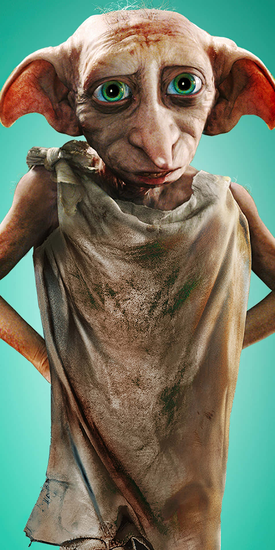 Saying Goodbye To Dobby The House-elf Background