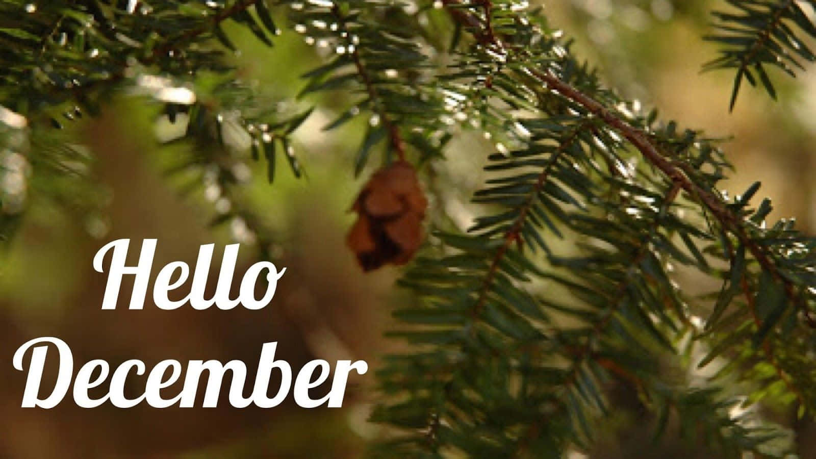 Saying Goodbye To November And Hello To December! Background
