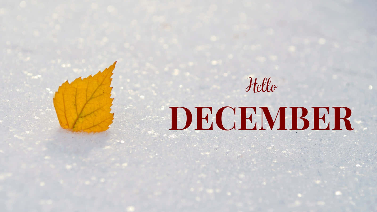 Saying Goodbye To November And Welcoming December Background