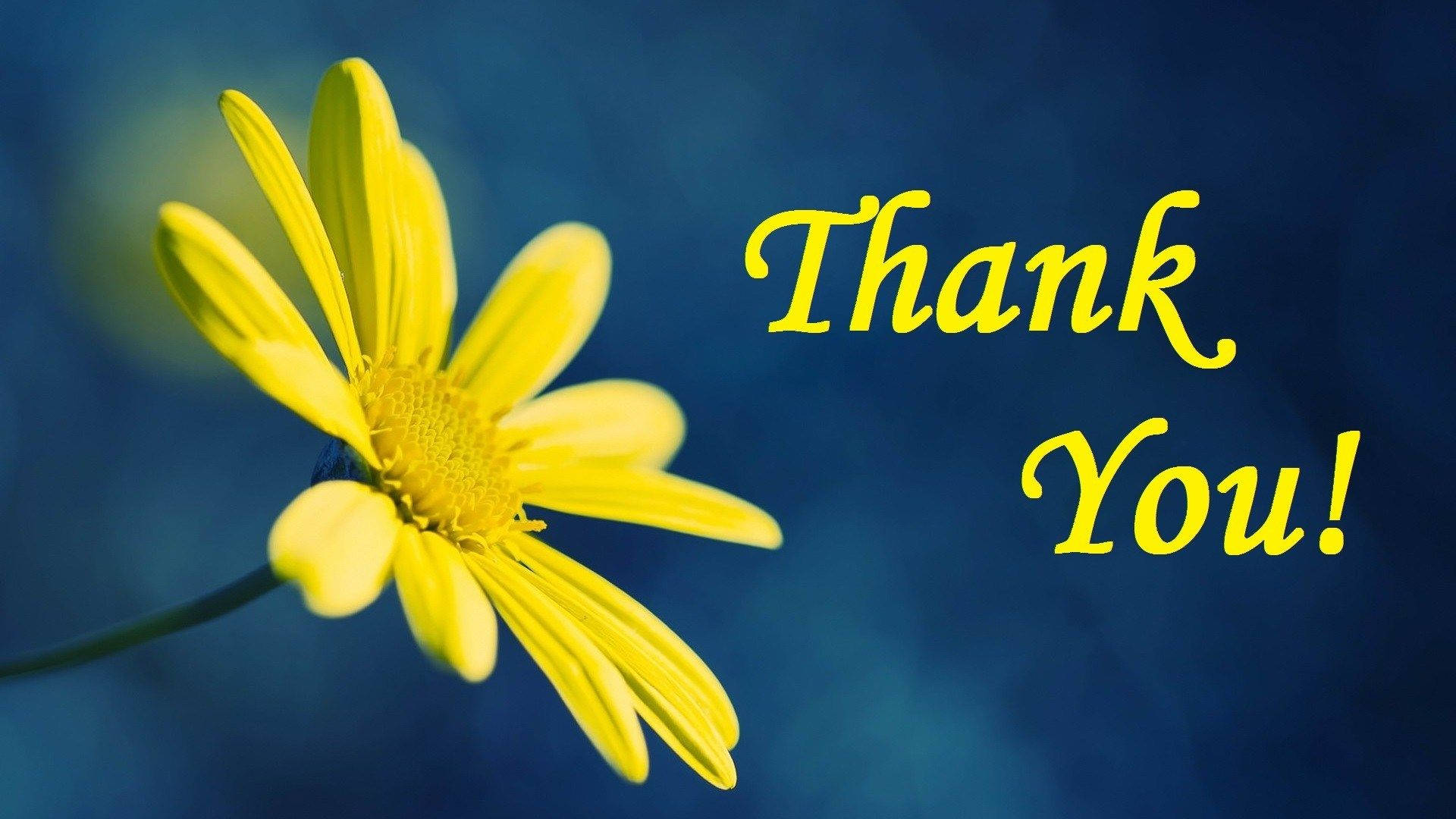 Saying Thanks For Watching With Yellow Daisy