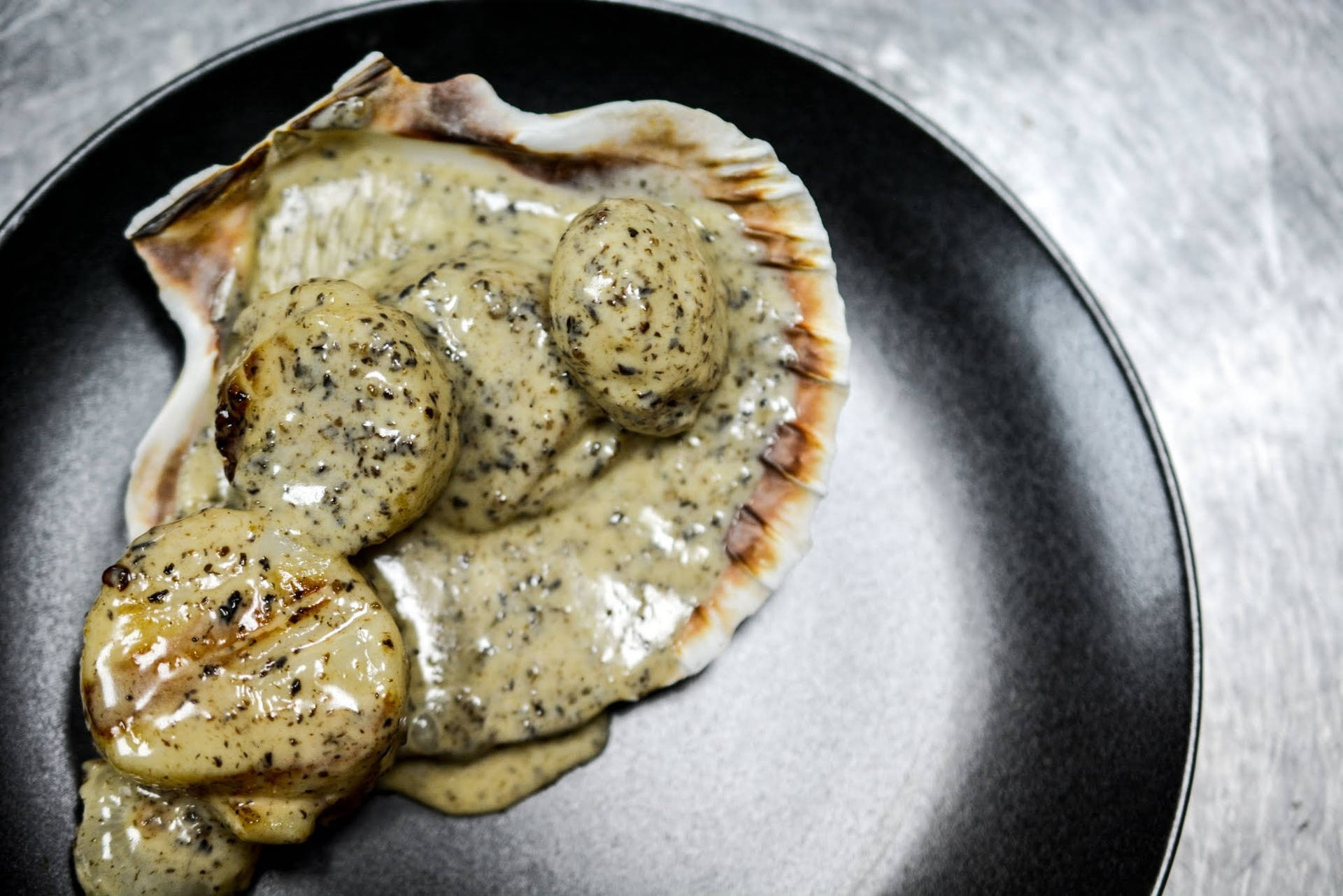 Scallops Creamy With Shell On Black Plate