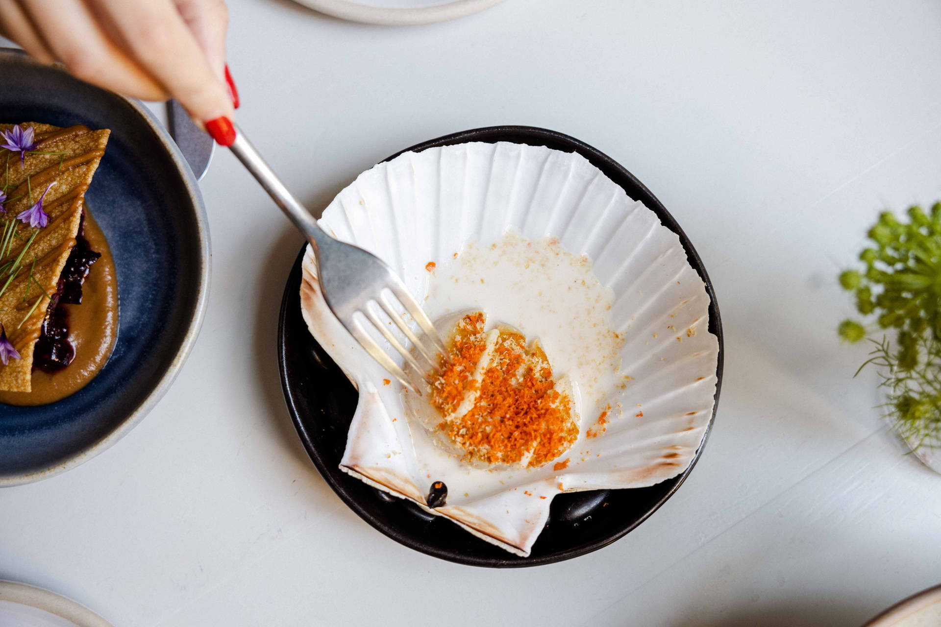 Scallops Dish Shell And Caviar Background