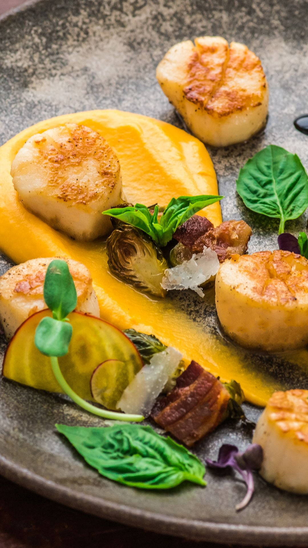 Scallops Dish With Herbs And Orange Sauce Background