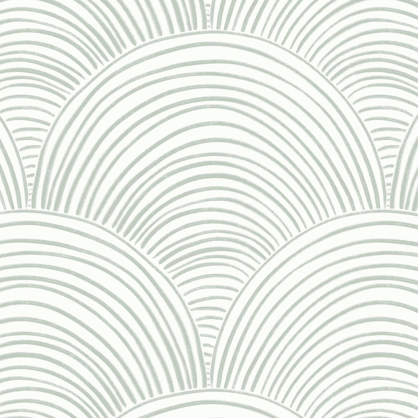 Scallops Pattern White Aesthetic Background