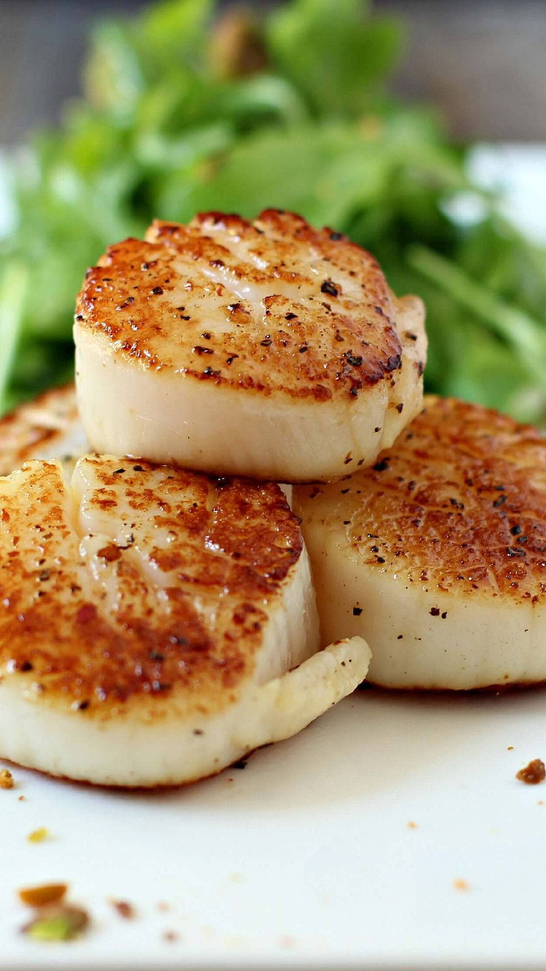 Scallops Seared With Lettuce Background