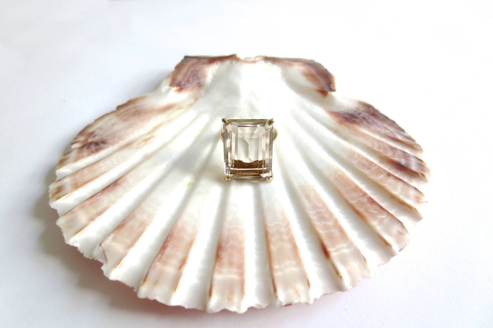 Scallops Shell Diamond Ring Background