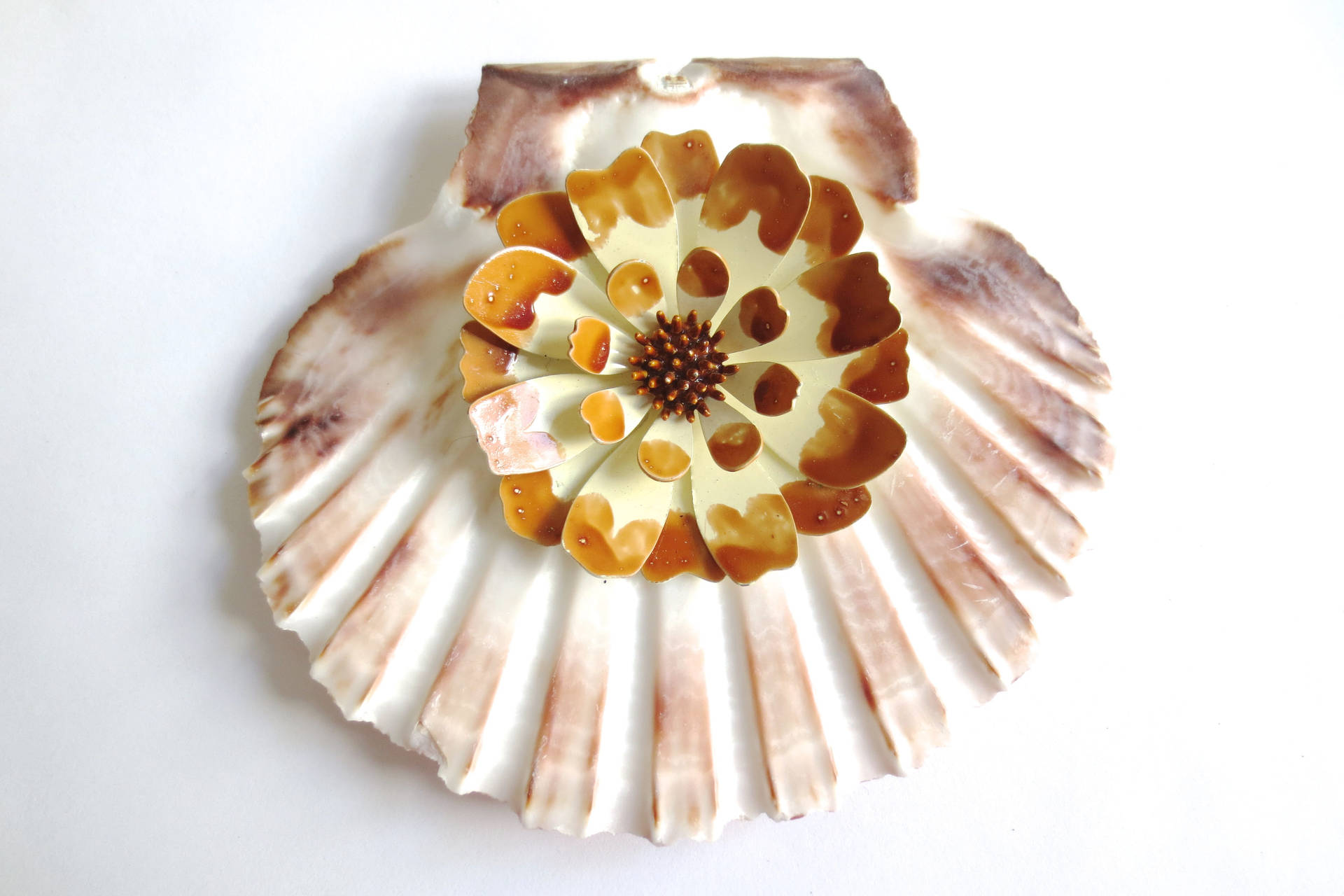 Scallops Shell With Flower