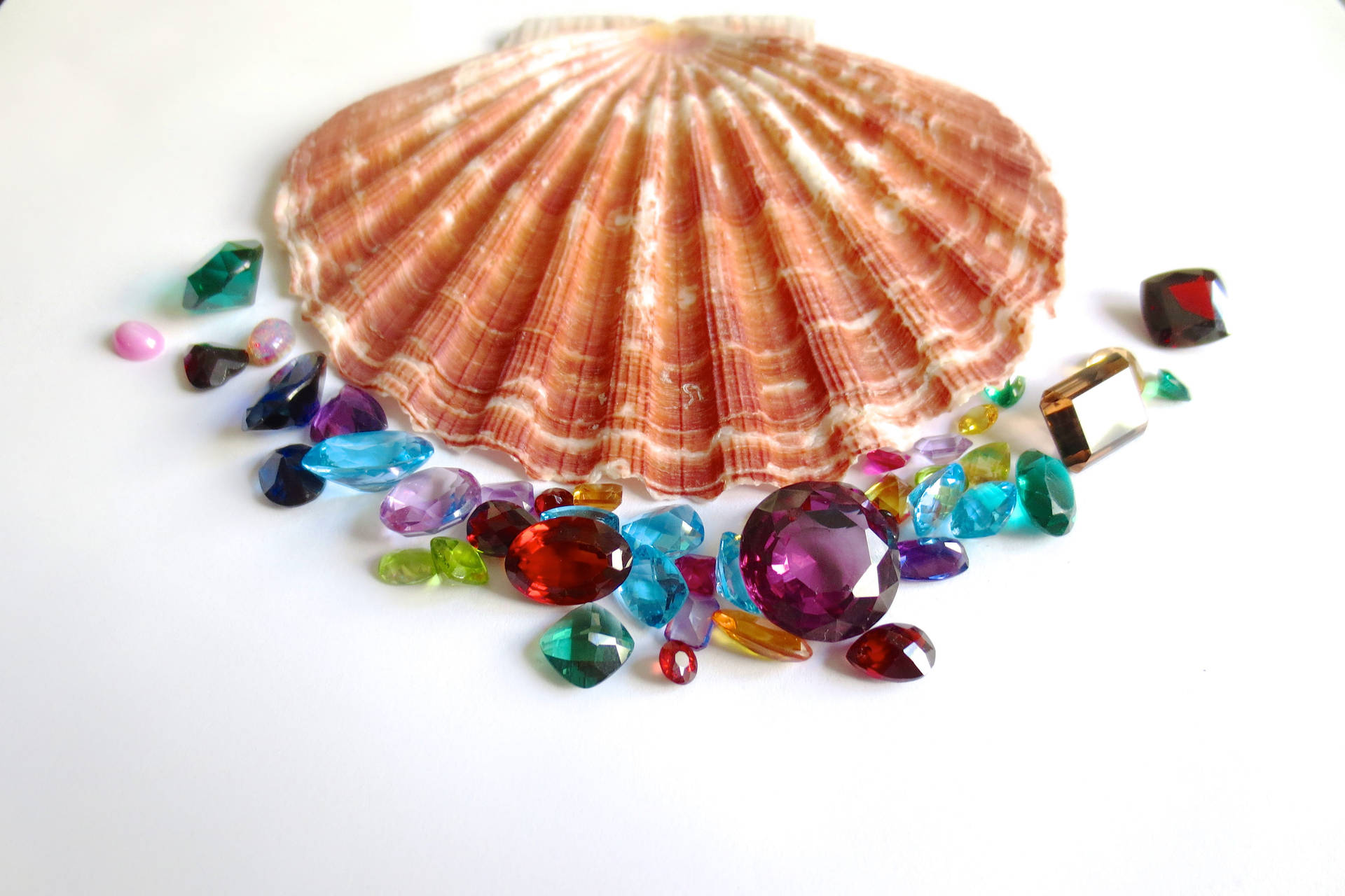 Scallops Shell With Gems Background