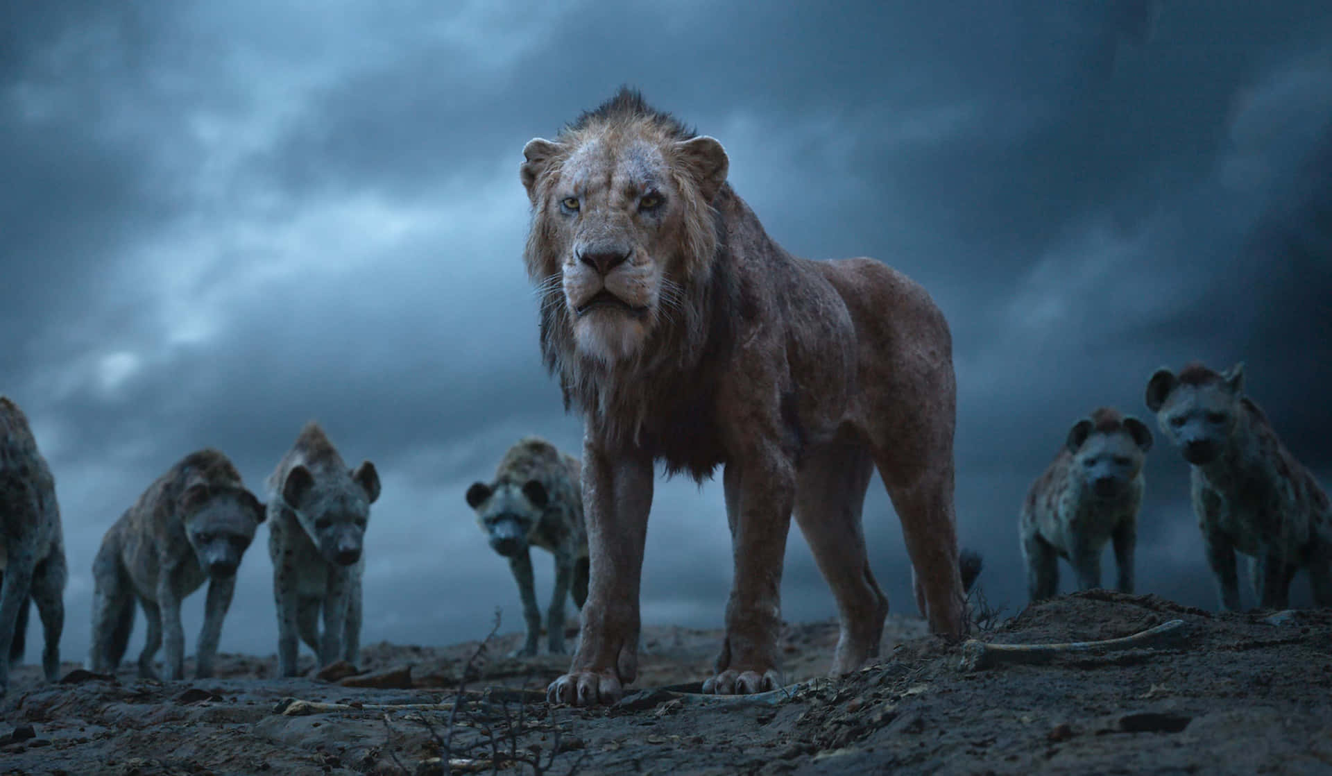 Scar Plot's His Revenge In Disney's The Lion King Background