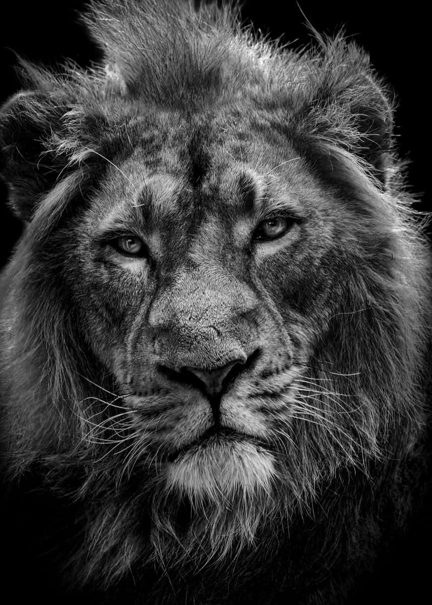 Scar Strikes An Intimidating Look While Leading The Hyenas In Disney's Classic Animated Movie 'the Lion King'. Background