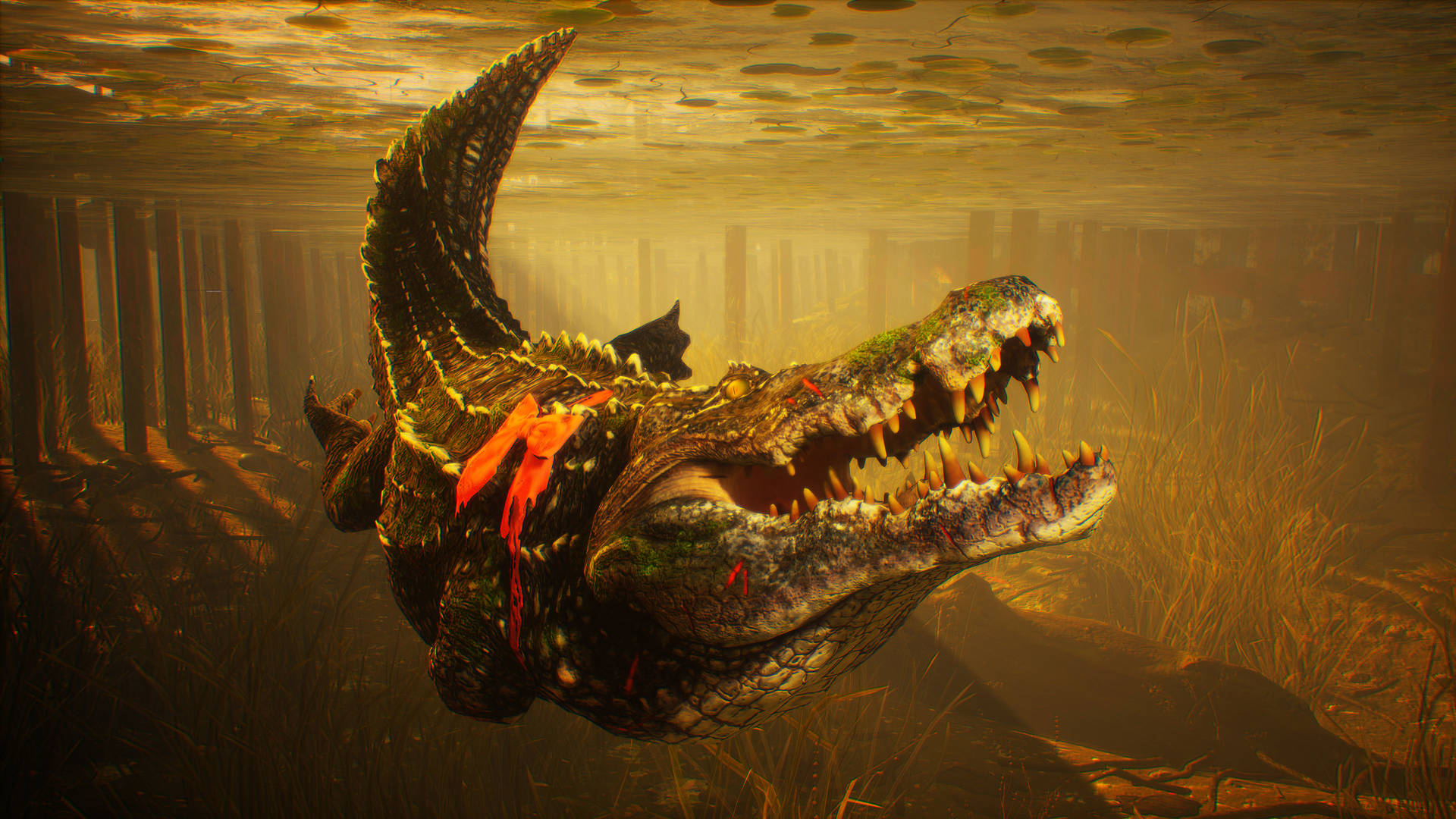 Scary Caiman Under Water