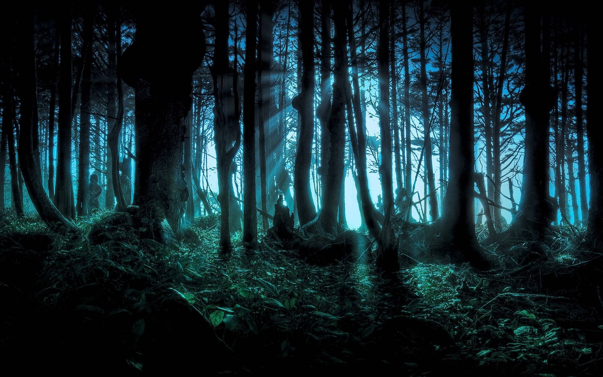 Scary Halloween Haunted Forest Background