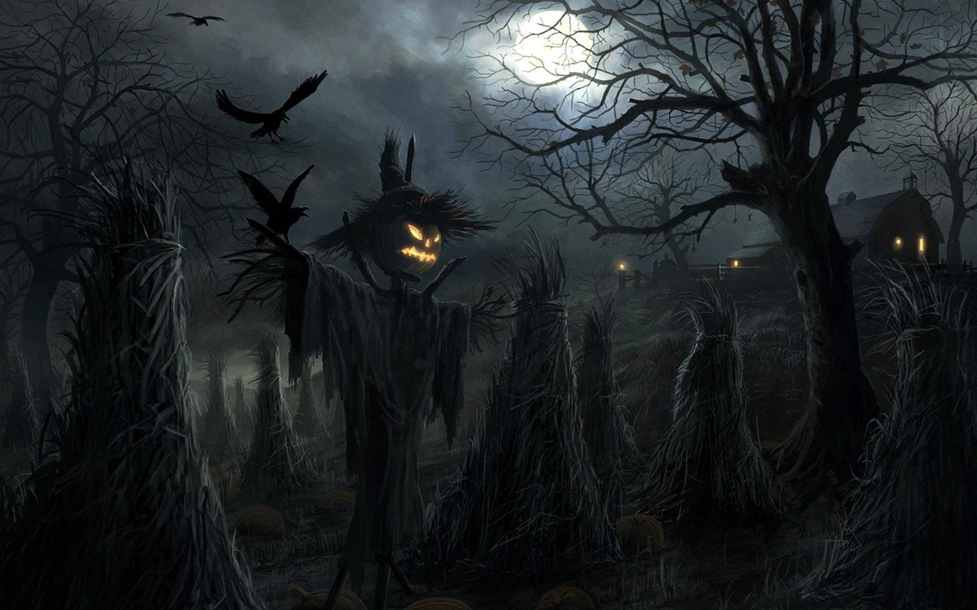 Scary Halloween Scarecrow Background