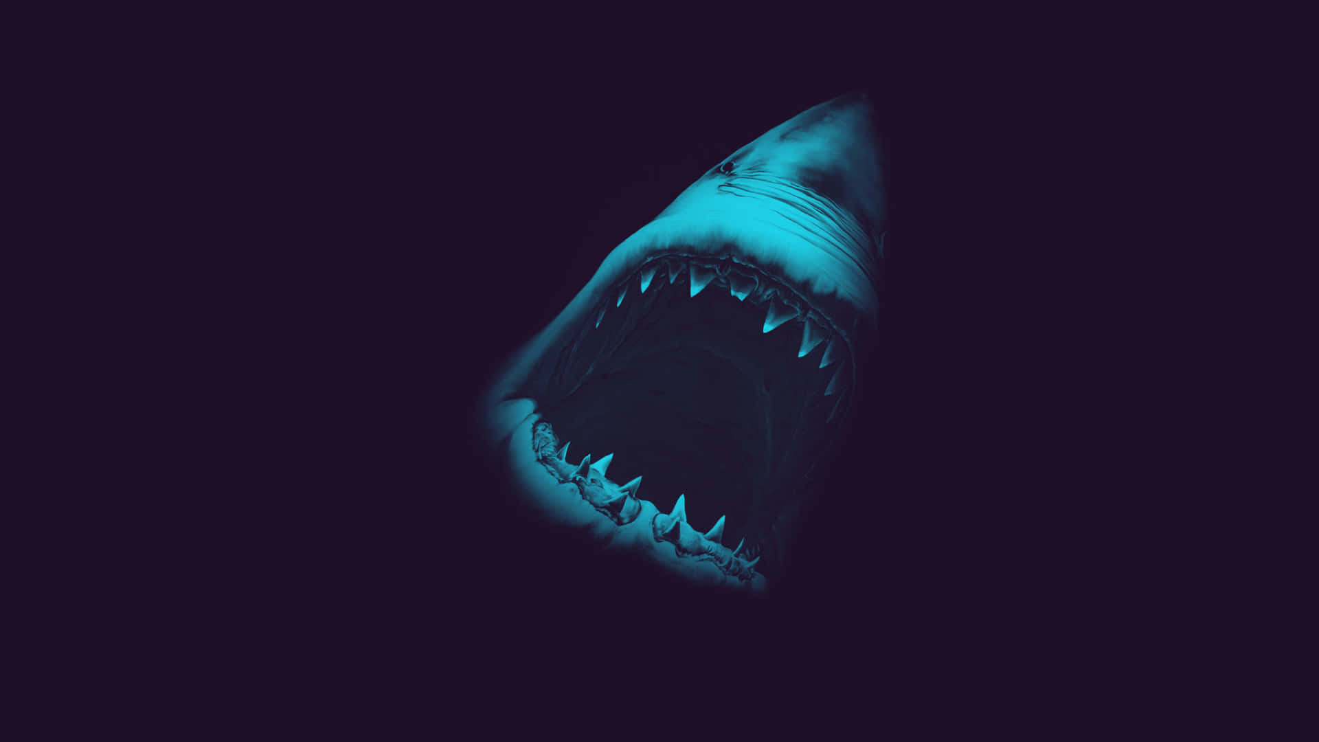 Scary Shark Open Mouth Background