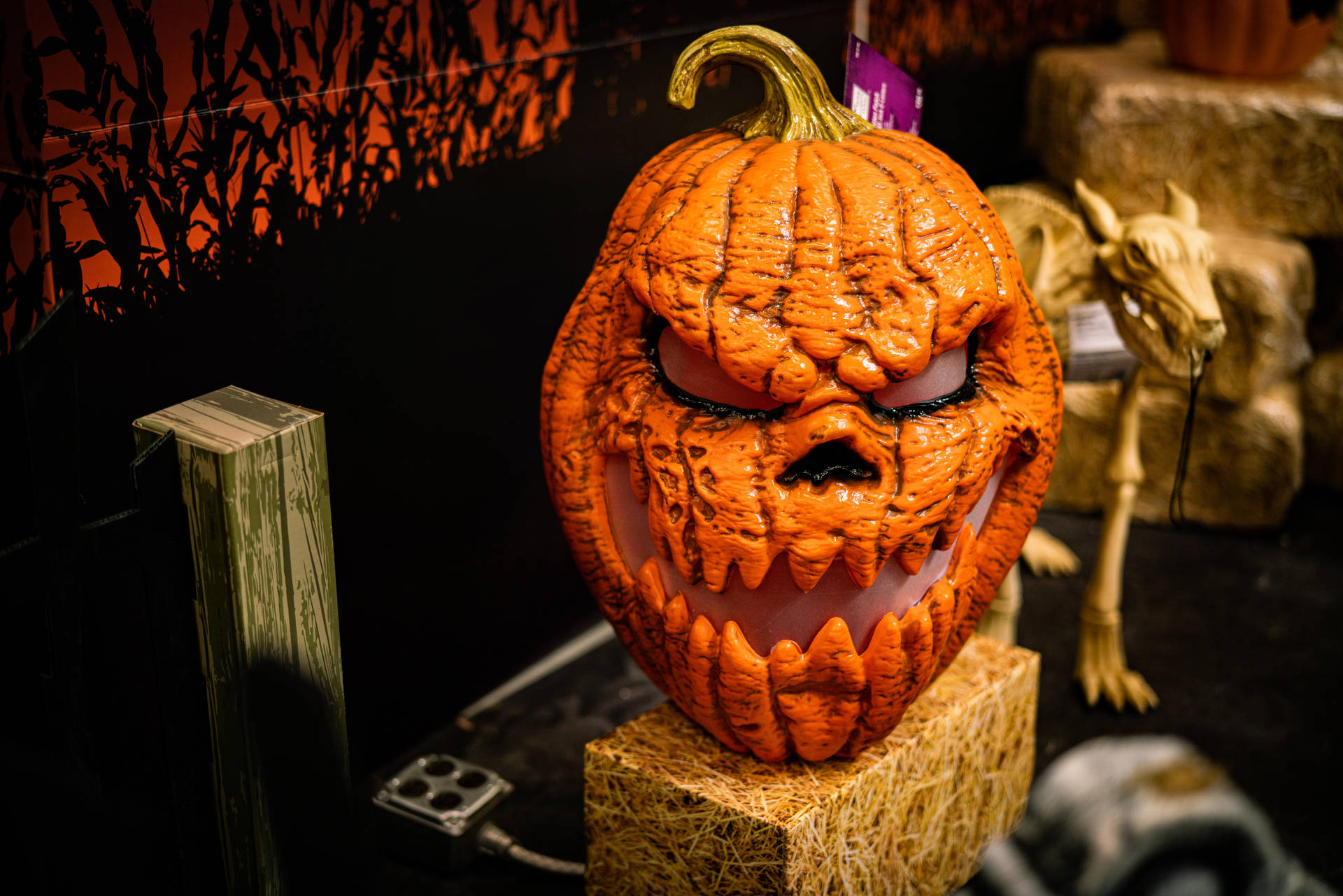 Scary Skull Jack O Lantern Pumpkin