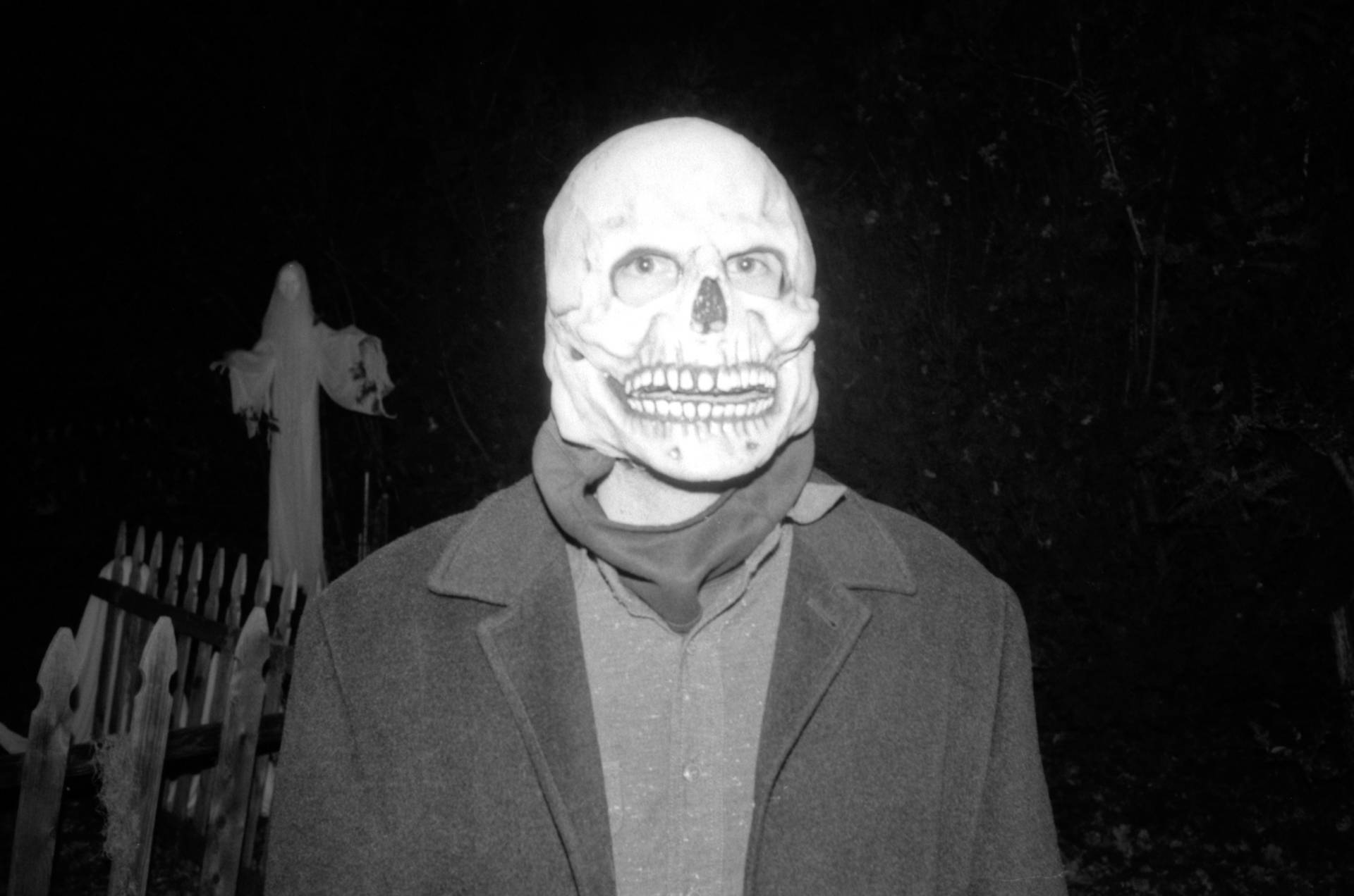 Scary Skull Mask Background