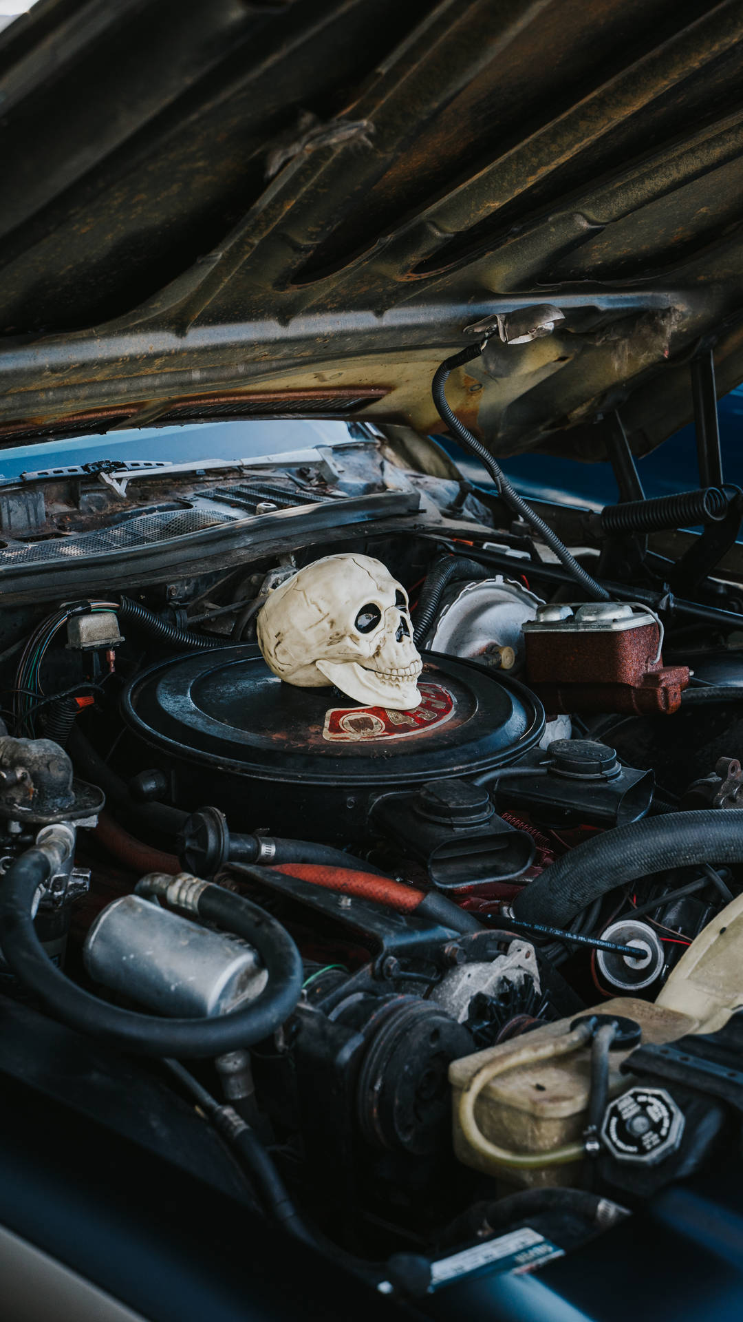Scary Skull Under Car Hood Background