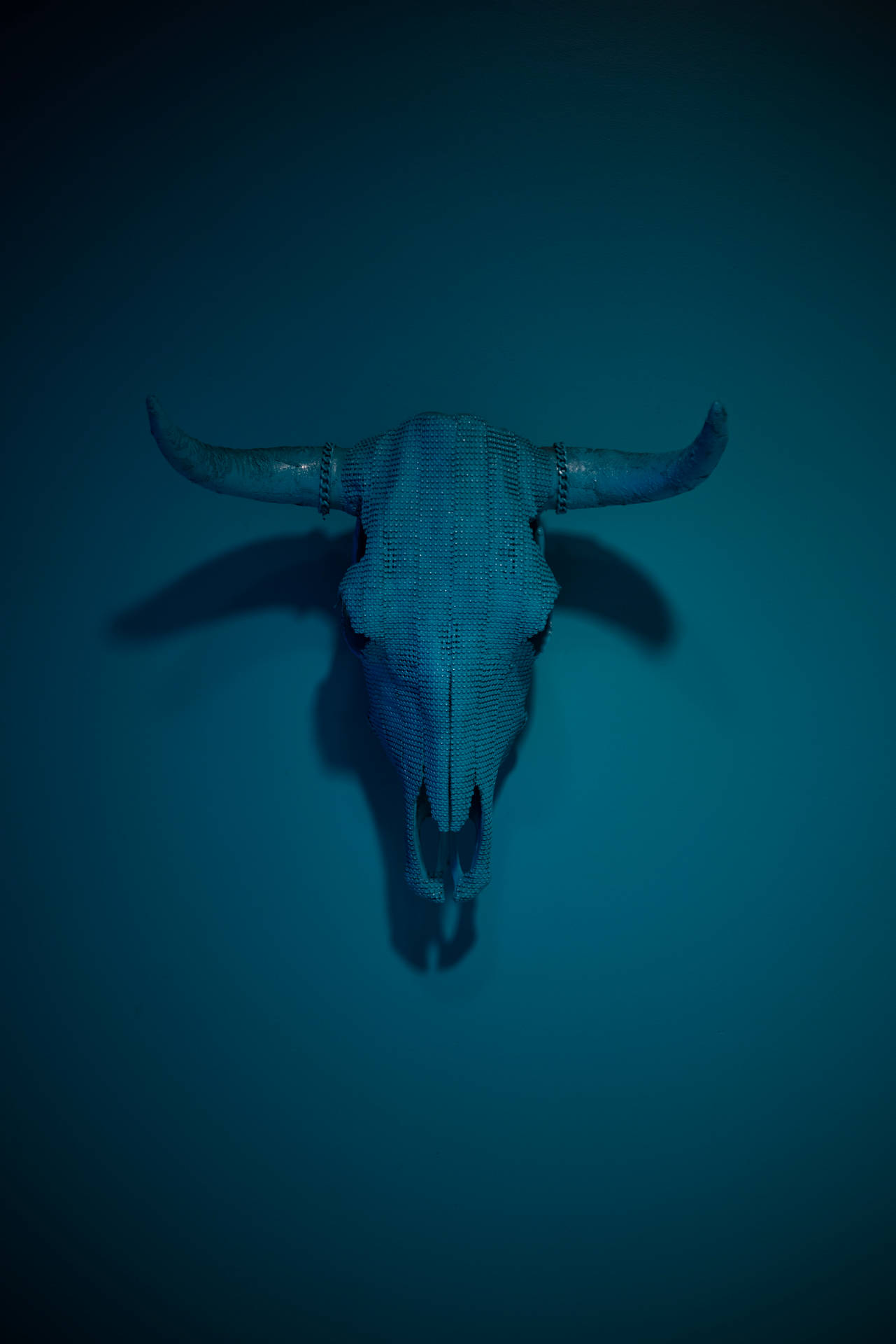 Scary Skulls Of A Bull On Wall