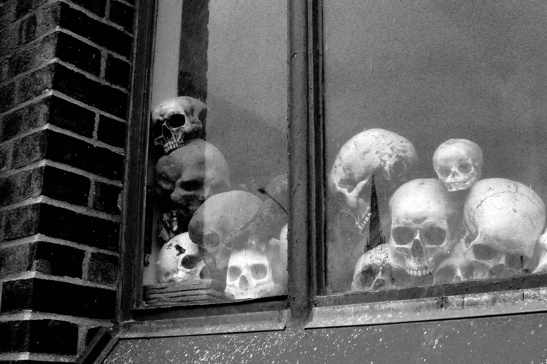 Scary Skulls On A Windowsill Background