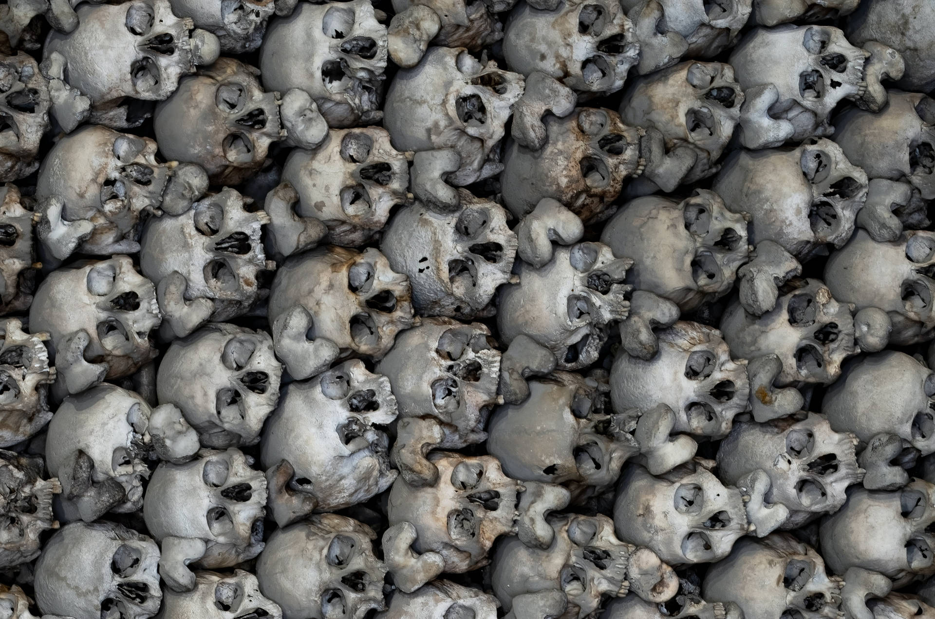 Scary Skulls Pile Background