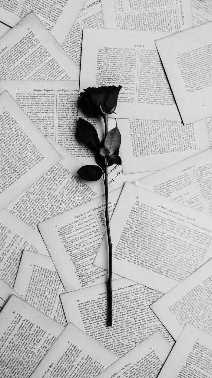 Scattered Book Pages Black Rose Iphone