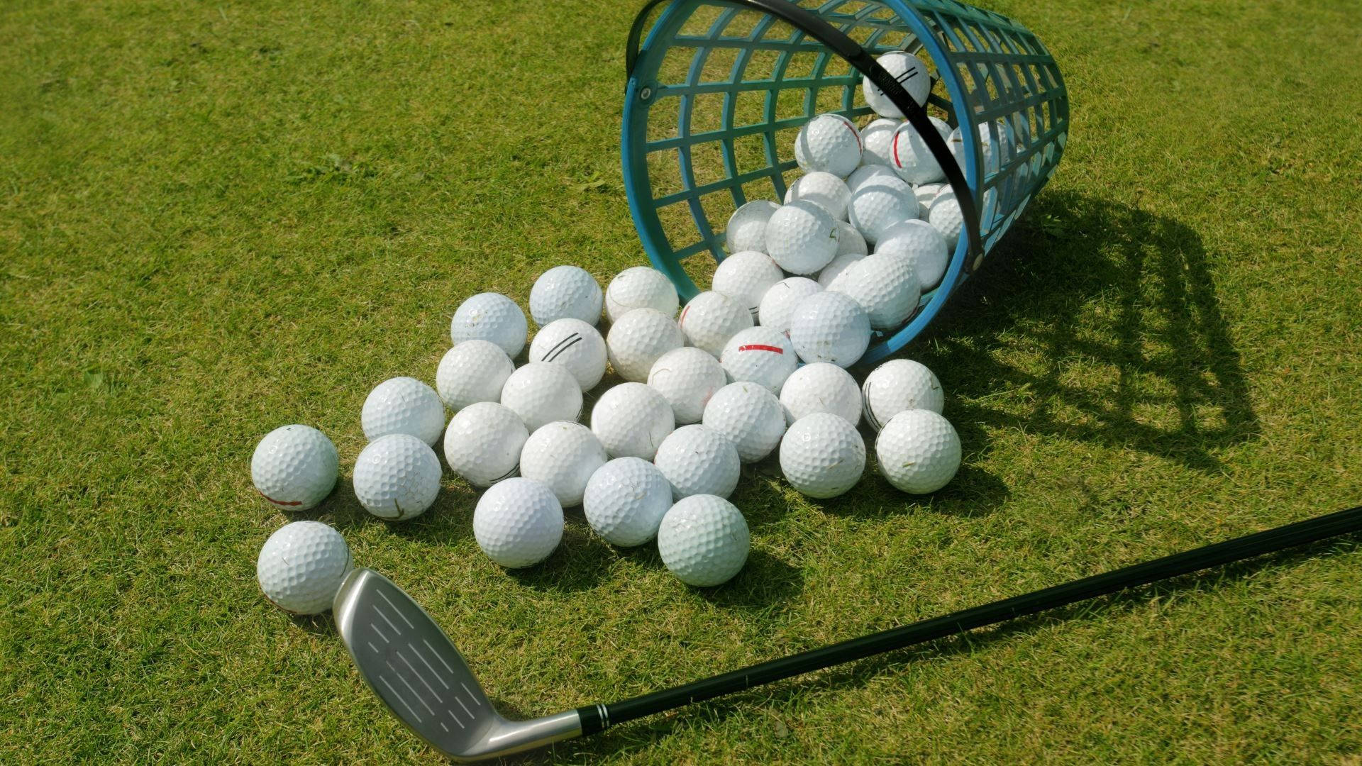 Scattered Golf Balls Golfing Desktop