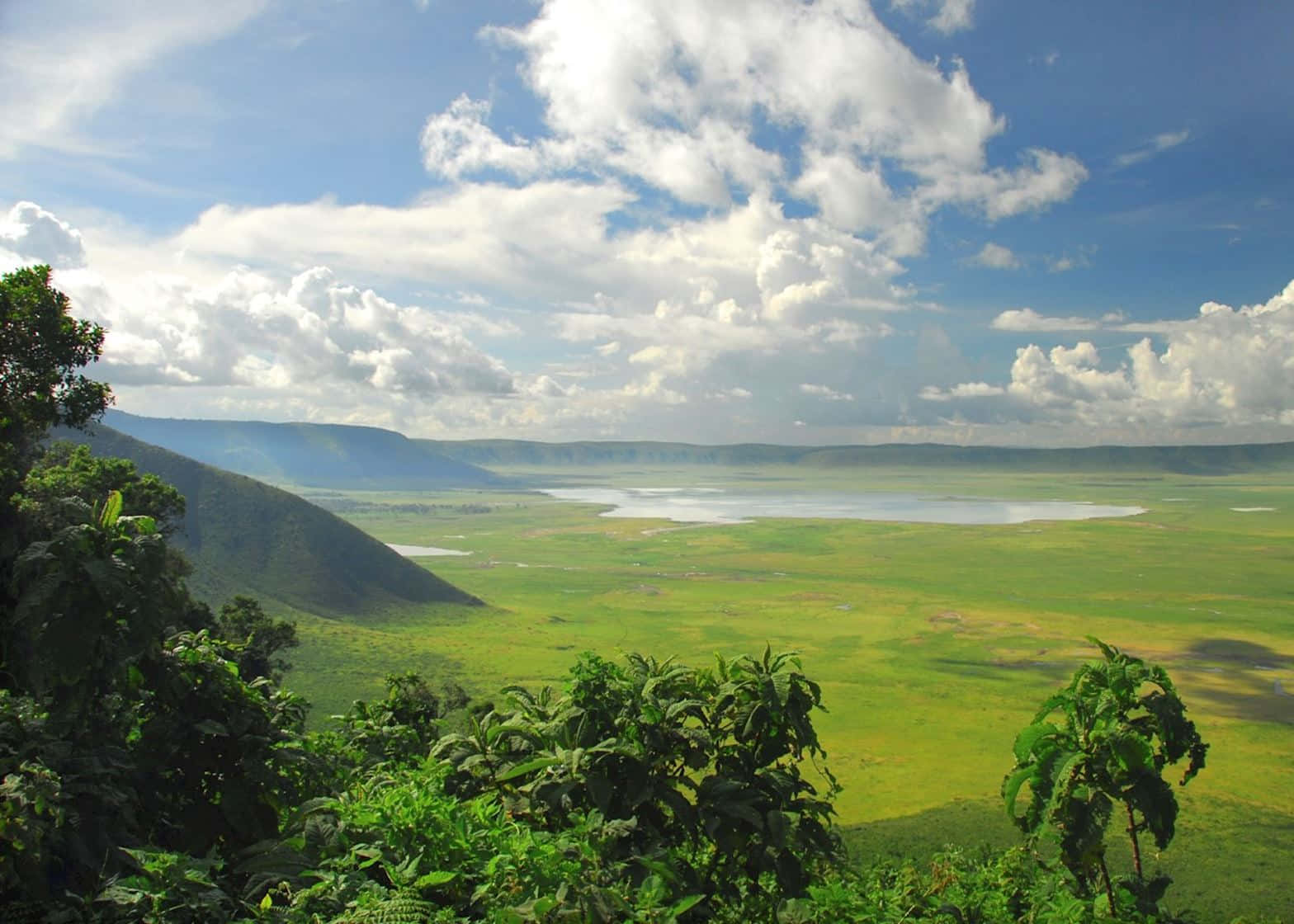 Scenery Of Ngorongoro Crater Conservation Area In Tanzania Background