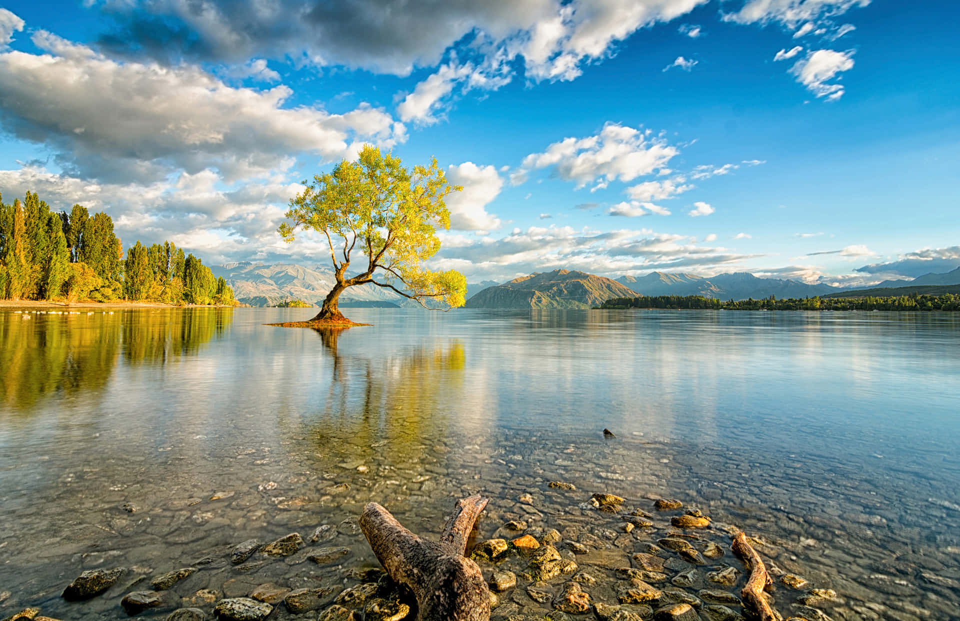 Scenic Lake Background Image