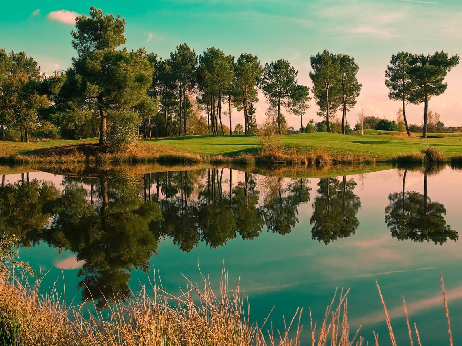 Scenic Pond View Background