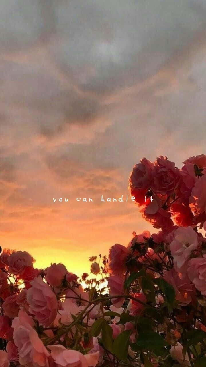 Scenic Sunset Clouds Floral Aesthetic Iphone Background