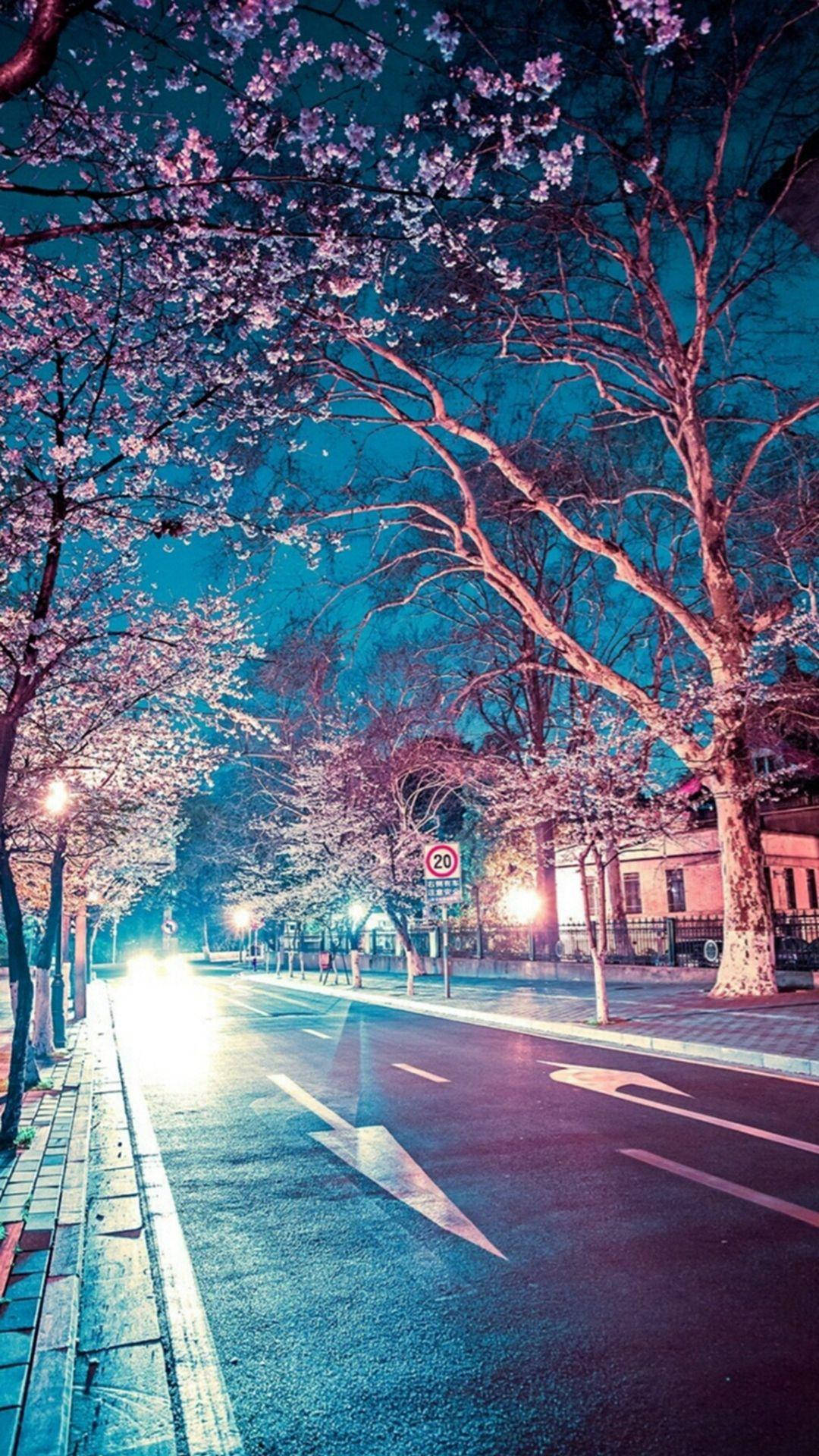 Scenic View Of A Paved Street In An Anime-inspired Japanese City Background