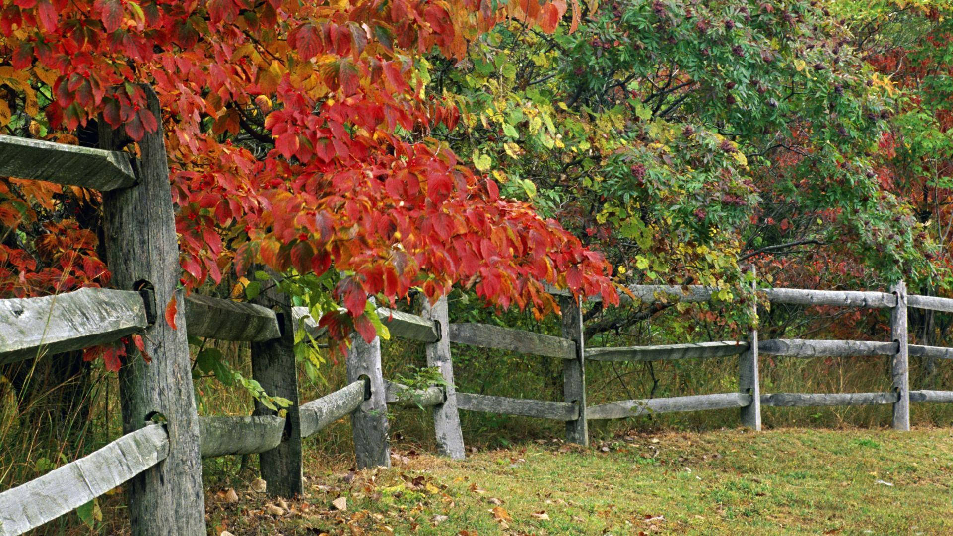 Scenic View Of Brown County State Park, Indiana