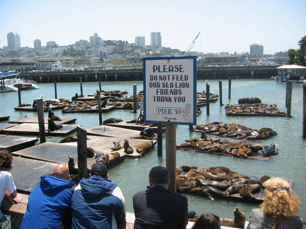 Scenic View Of Fisherman's Wharf At Pier 39 Background