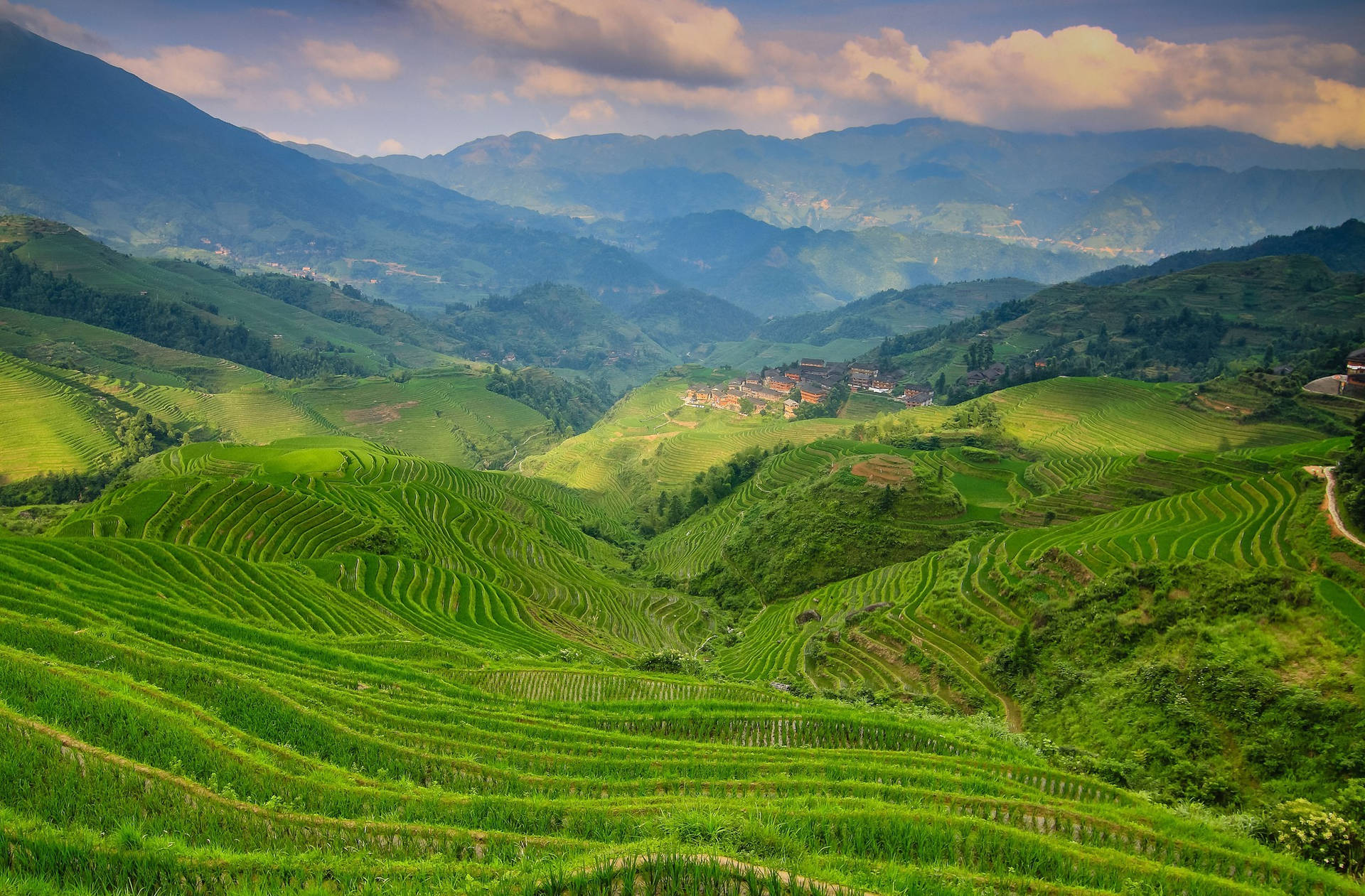 Scenic View Of Hillside Terraces Background