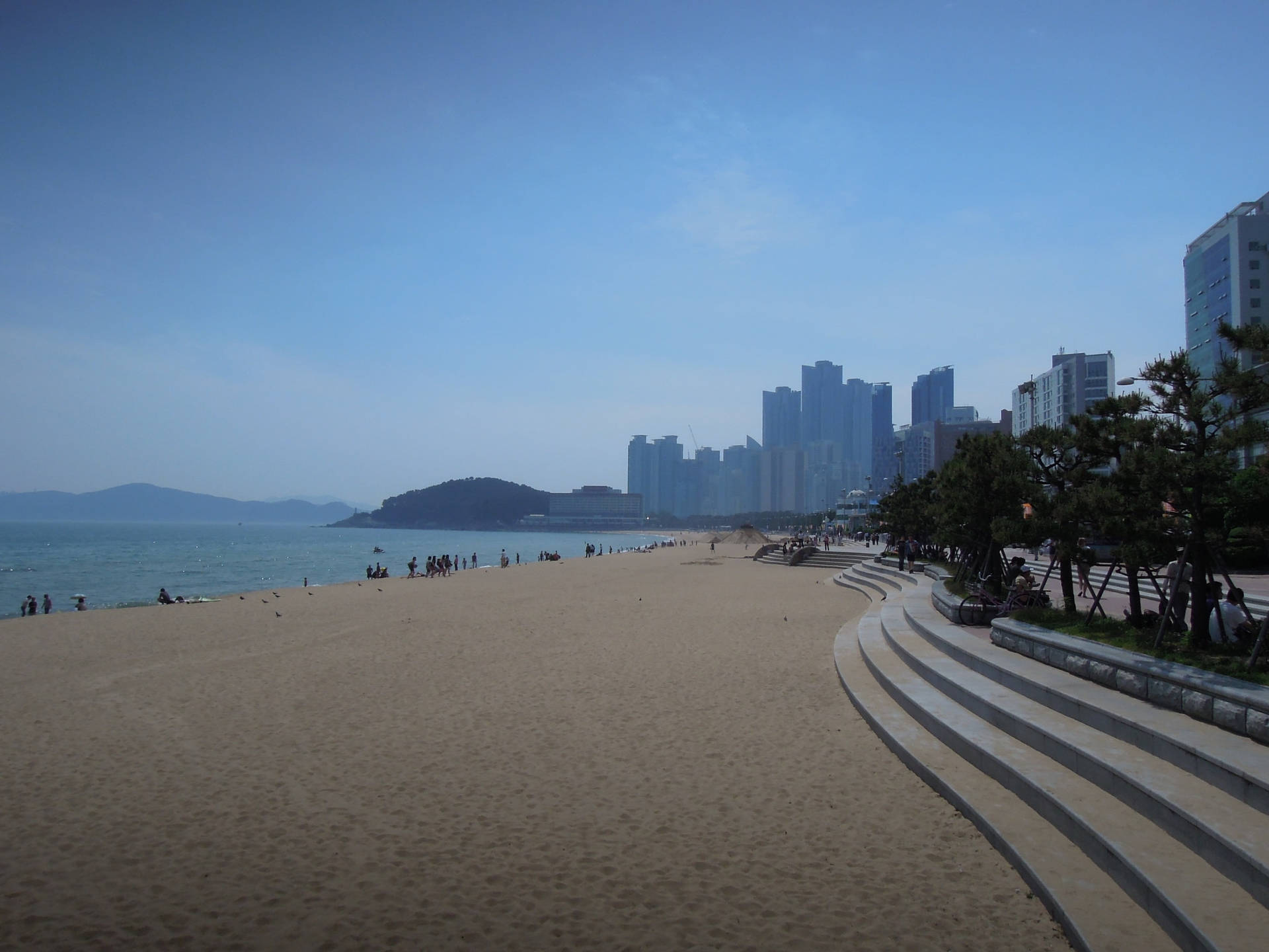 Scenic View Of Urban Beach In Busan Background
