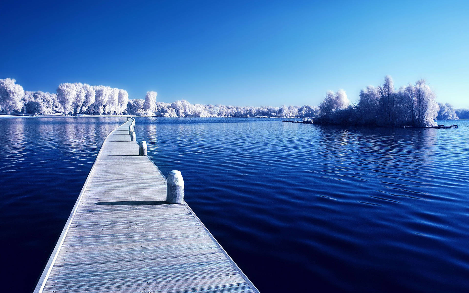 Scenic Winter Dock Background