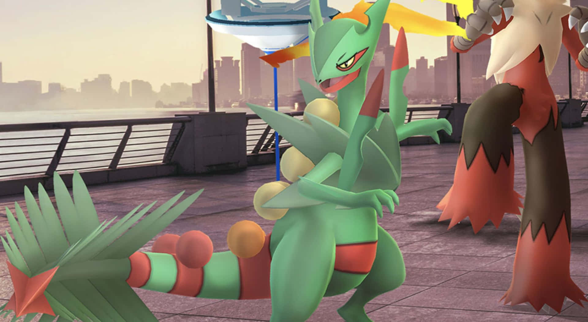 Sceptile_and_ Blaziken_ Showdown Background