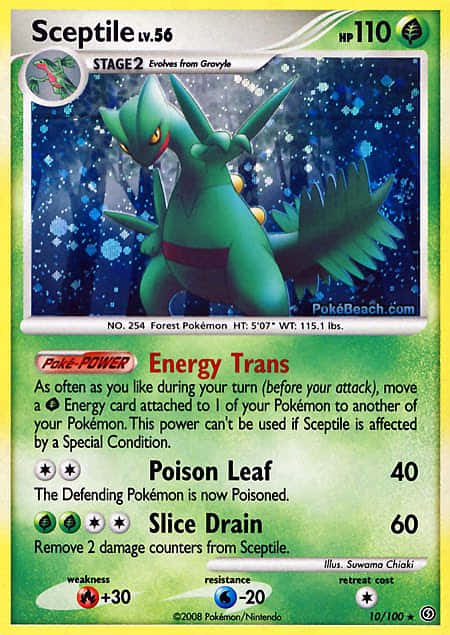 Sceptile Pokemon Card Background