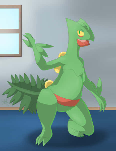 Sceptile Pokemon Illustration Background