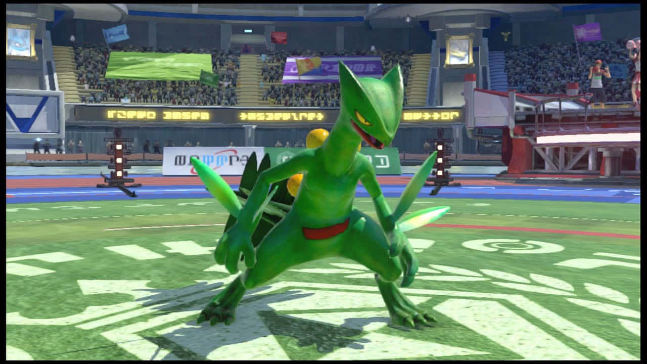 Sceptilein Battle Arena Background