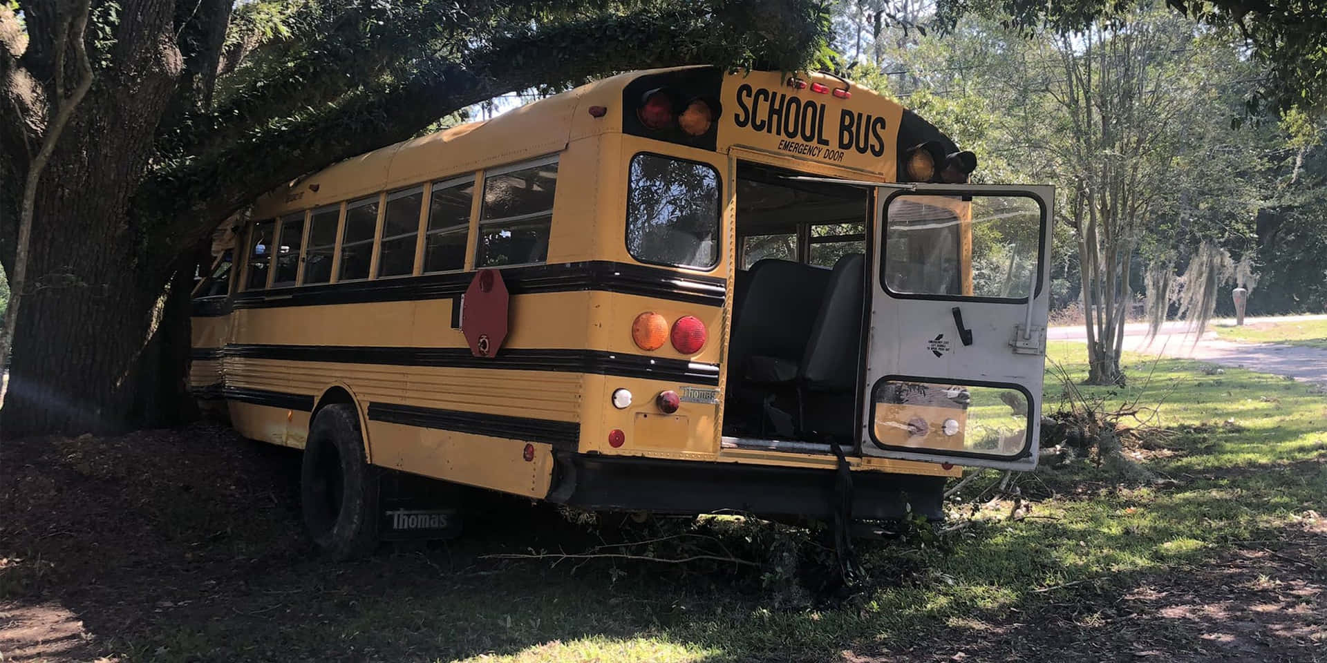 School Bus Accident Bumping Tree Background