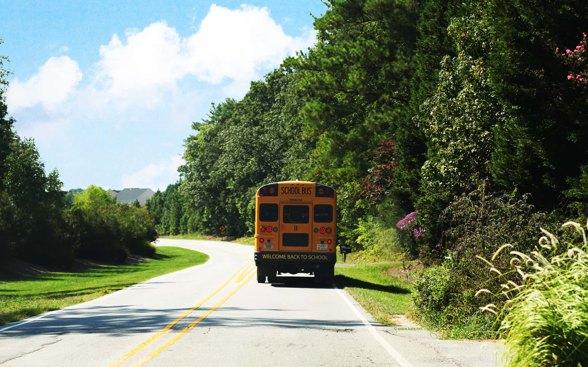 School Bus Traveling On Road Back View