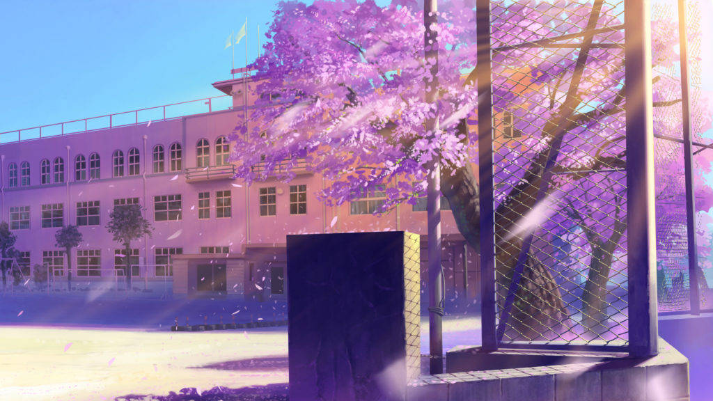 School Cherry Blossoms Anime Pc Background