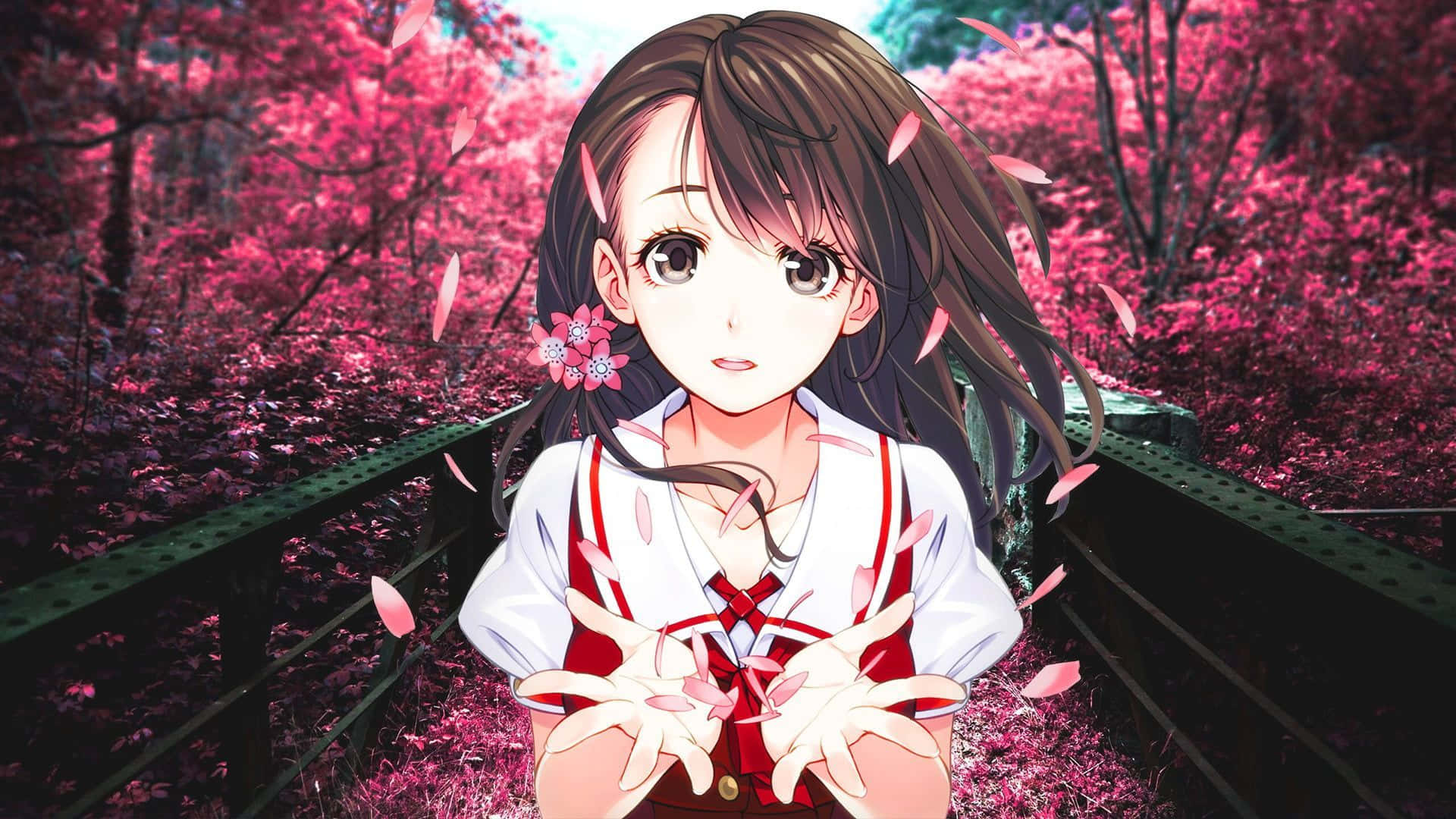 School Girl Cherry Blossom Uniform Background