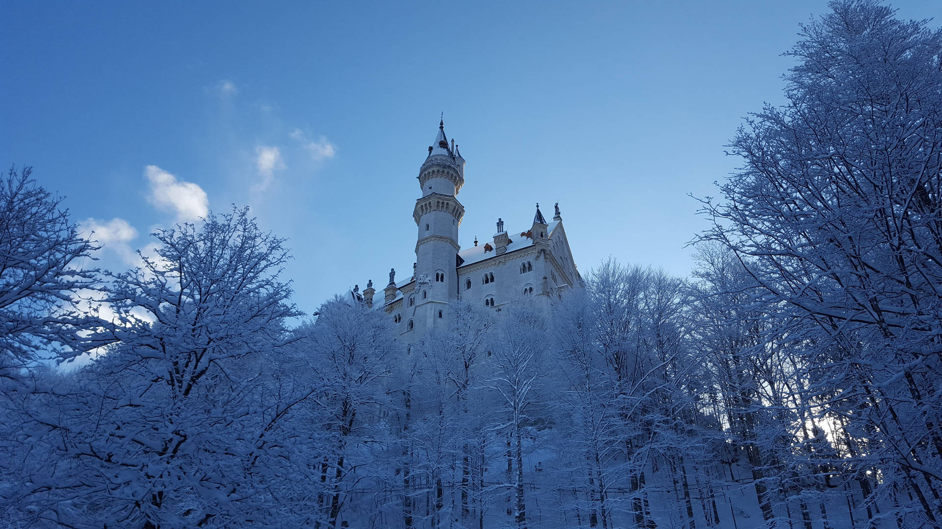 Schwangau Frozen Castle