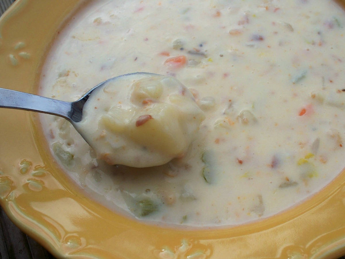 Scoop Of New England Clam Chowder Soup