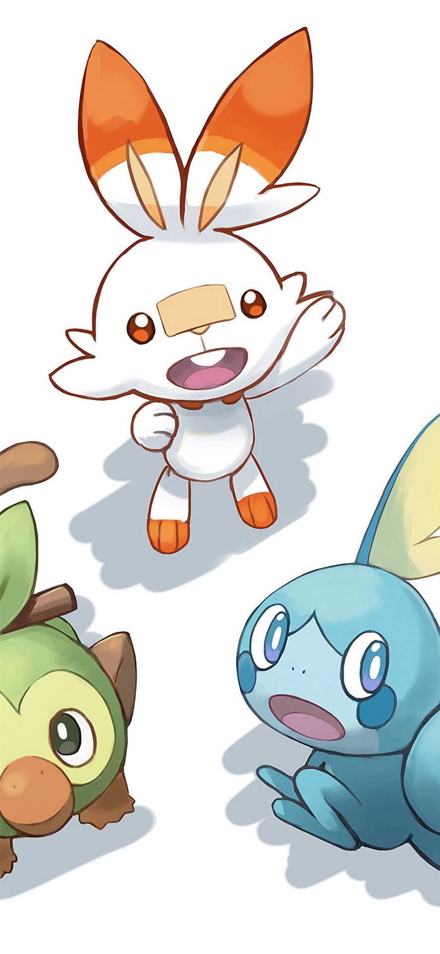 Scorbunny And Other Galar Starters