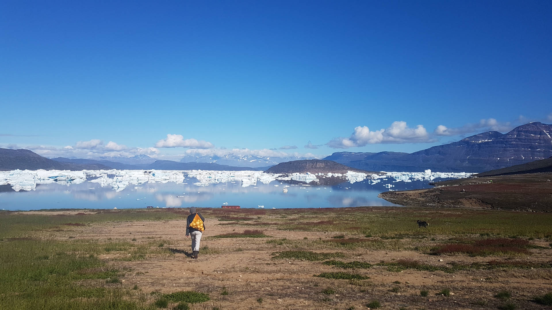 Scoresbysund Greenland Landscape Background